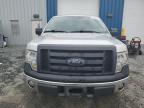 2009 FORD F150    for sale at Copart NS - HALIFAX