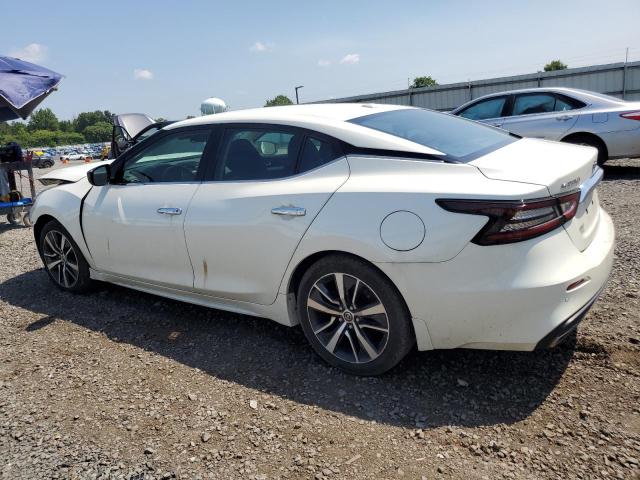  NISSAN MAXIMA 2020 White