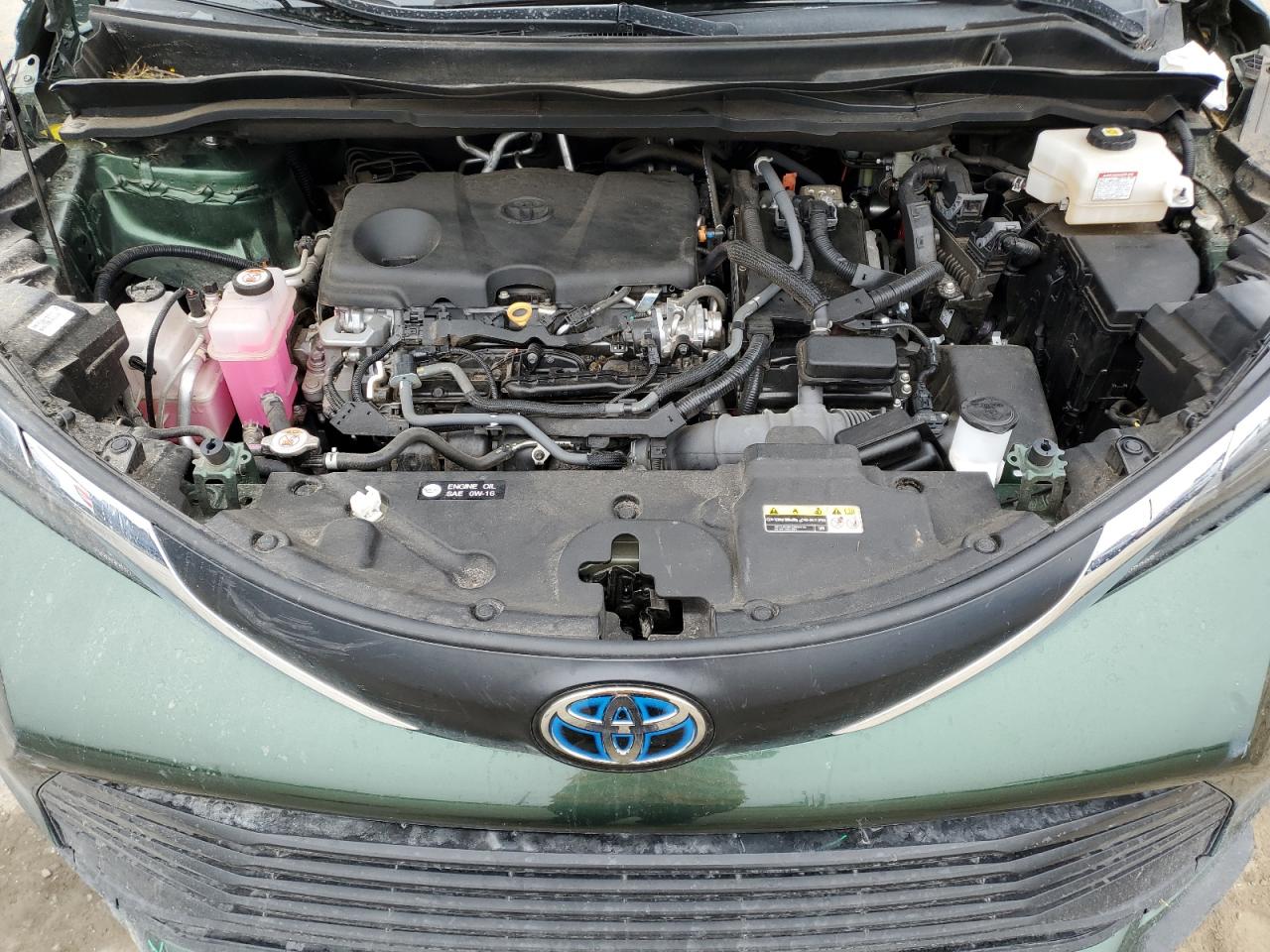 TOYOTA All Models 2024 VIN 5TDBRKEC7RS187146 фото 12