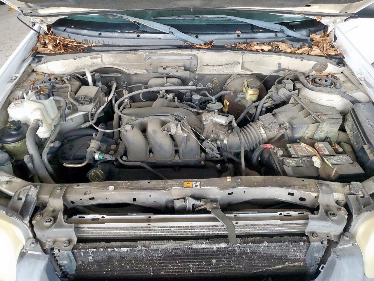 2004 Ford Escape Xlt VIN: 1FMYU03124DA19221 Lot: 62612775