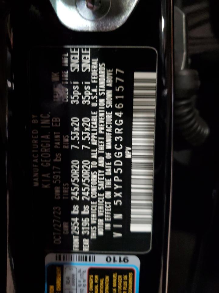 2024 Kia Telluride Sx VIN: 5XYP5DGC3RG461577 Lot: 60151515