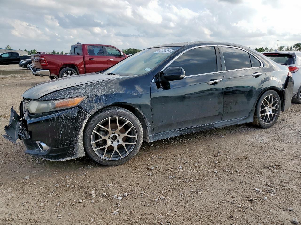 2012 Acura Tsx Se იყიდება Houston-ში, TX - Front End