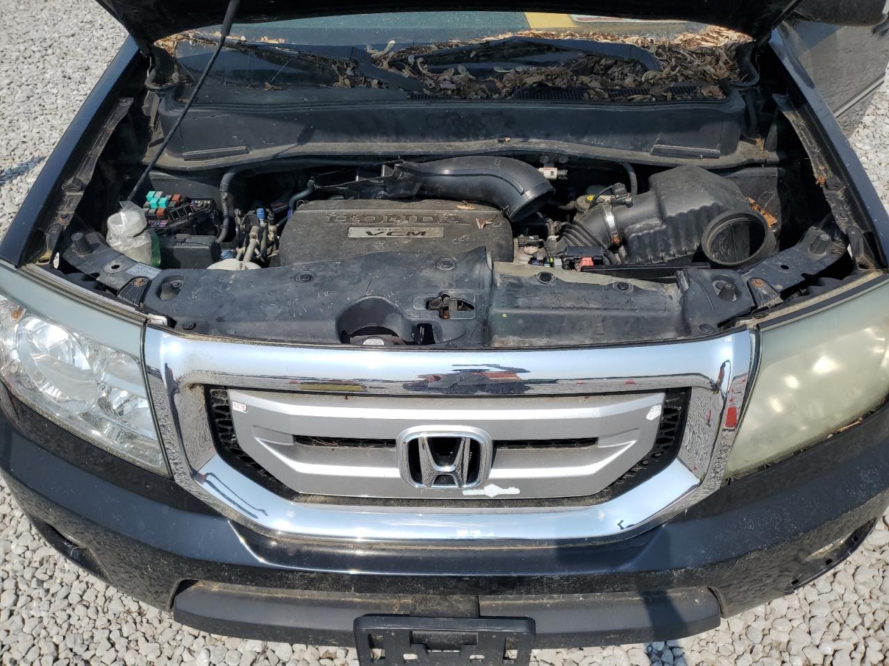 2010 Honda Pilot Touring VIN: 5FNYF4H85AB031699 Lot: 58597955