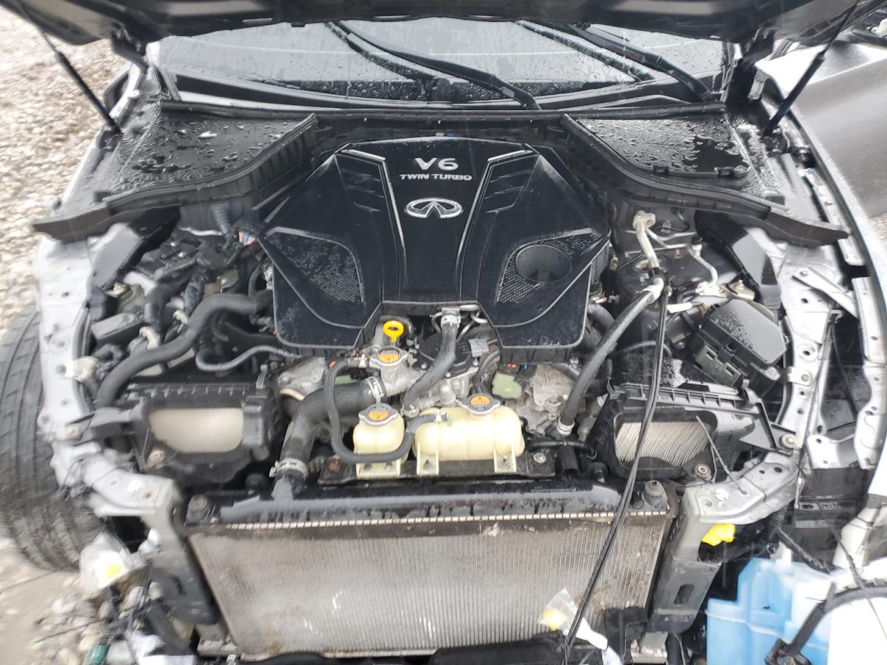 2019 Infiniti Q50 Luxe VIN: JN1EV7AR6KM558530 Lot: 62074895