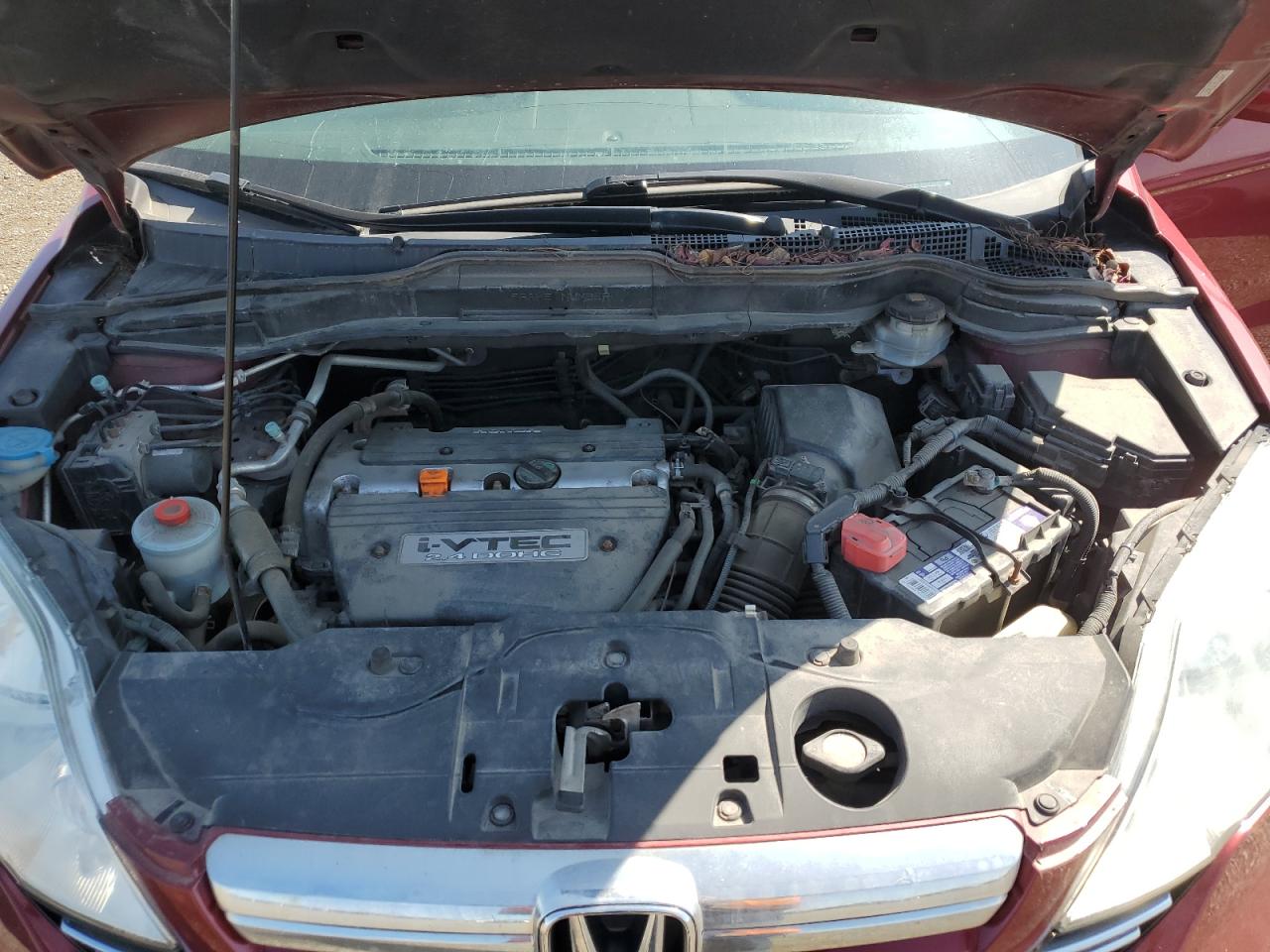 2009 Honda Cr-V Exl VIN: 5J6RE487X9L814664 Lot: 60425785