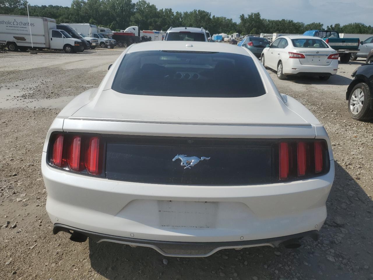 2017 Ford Mustang VIN: 1FA6P8TH2H5244310 Lot: 62850785