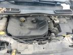 2013 Ford Escape Sel zu verkaufen in Cahokia Heights, IL - Hail