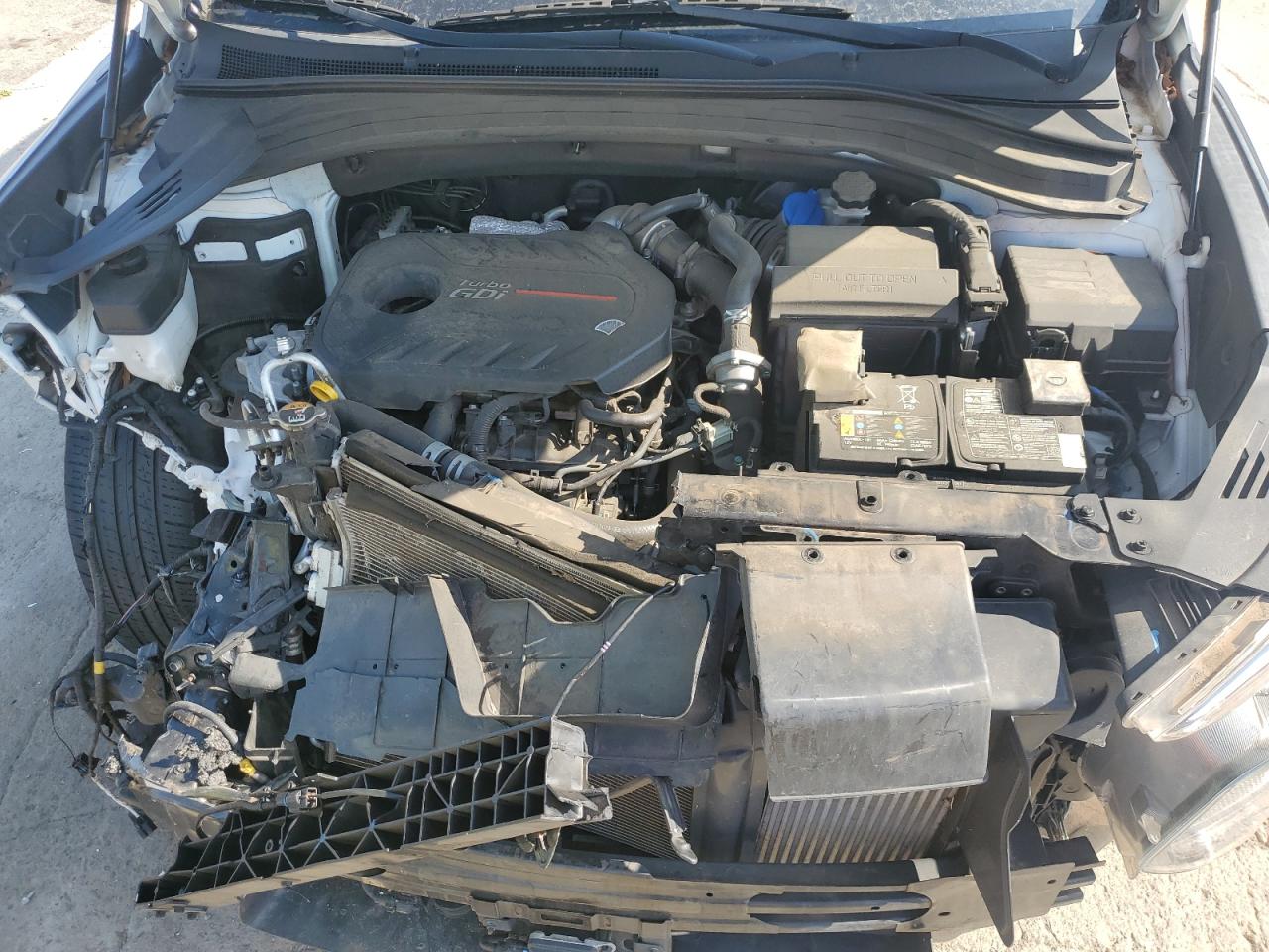 2020 Hyundai Santa Fe Sel VIN: 5NMS33AA7LH250087 Lot: 62279965