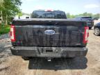 2023 FORD F150 SUPERCREW   à vendre chez Copart ON - COOKSTOWN