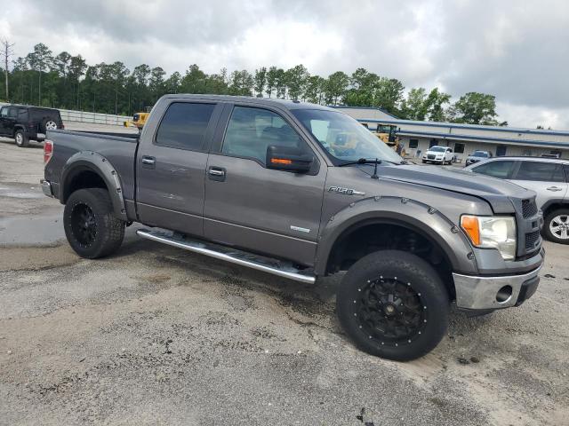 Пикапы FORD F-150 2013 Серый