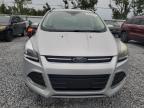 Riverview, FL에서 판매 중인 2016 Ford Escape Titanium - Normal Wear