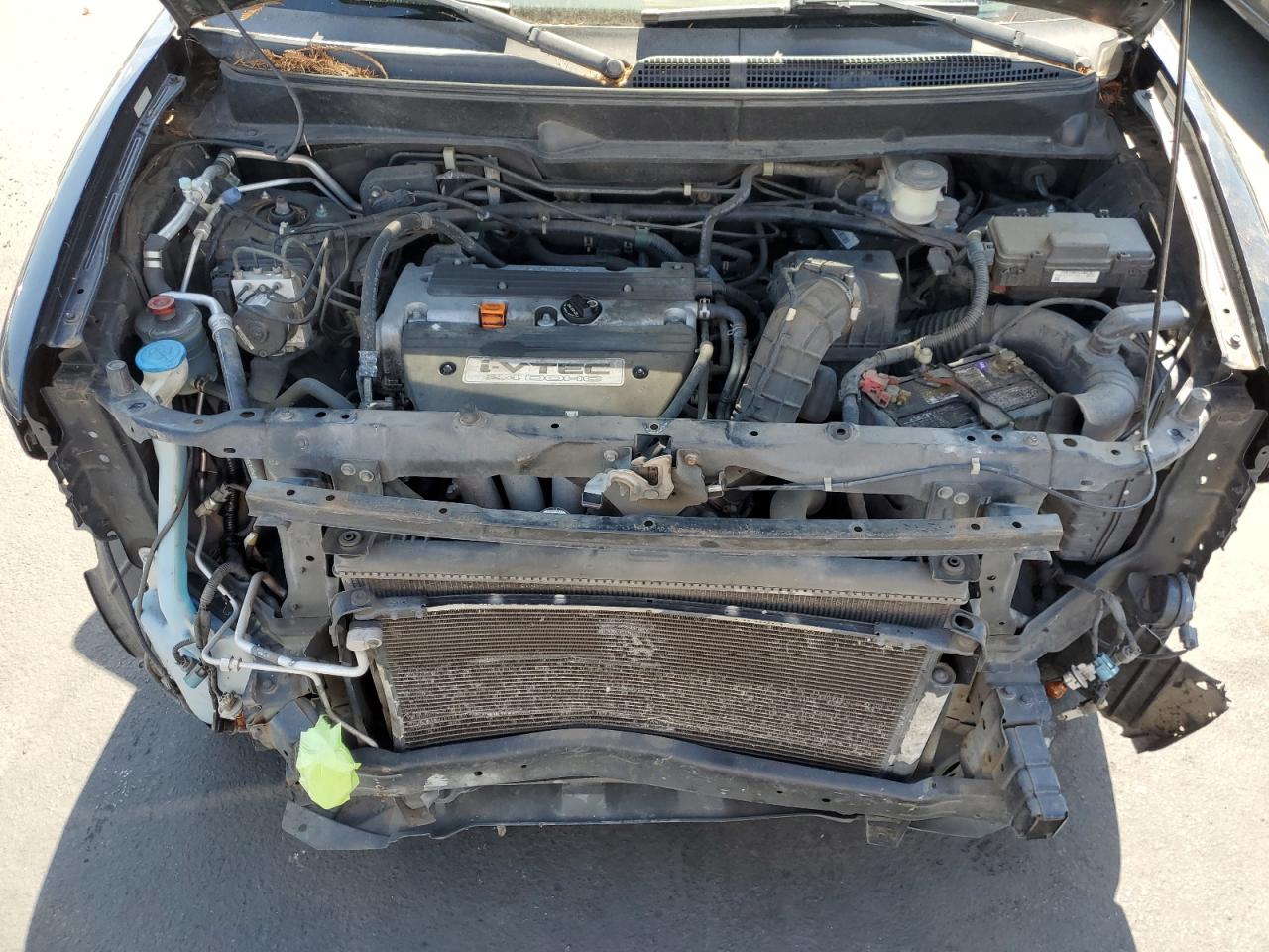 2007 Honda Element Sc VIN: 5J6YH17977L007052 Lot: 61679125