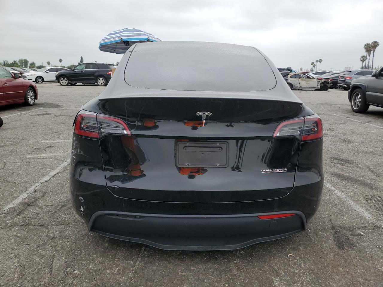 2024 Tesla Model Y VIN: 7SAYGDEF8RA295575 Lot: 59589735