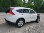 2014 Honda Cr-V Exl იყიდება Northfield-ში, OH - Front End