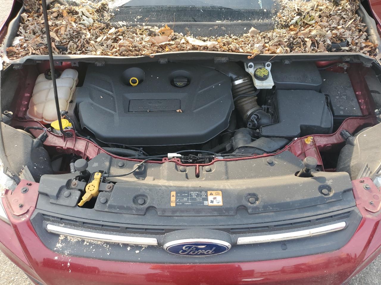 FORD ESCAPE 2016 VIN 1FMCU9G94GUC54299 photo 12