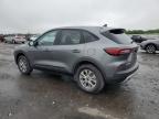 Fredericksburg, VA에서 판매 중인 2025 Ford Escape Active - Normal Wear