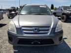2005 Honda Cr-V Lx for Sale in Eugene, OR - Rear End