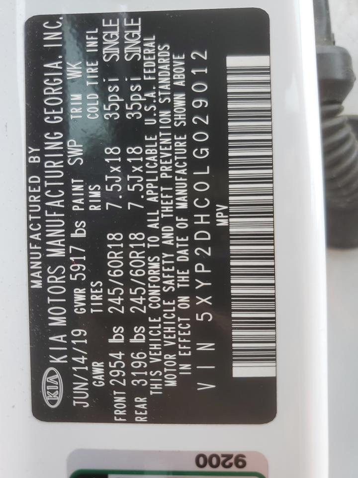 2020 Kia Telluride Lx VIN: 5XYP2DHC0LG029012 Lot: 61006985