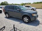 2009 Ford Escape Xlt de vânzare în Barberton, OH - Normal Wear