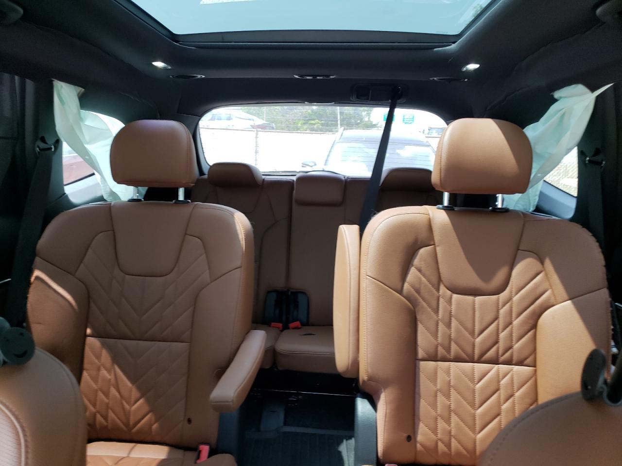 2024 Kia Telluride Sx VIN: 5XYP5DGC2RG534955 Lot: 59326615