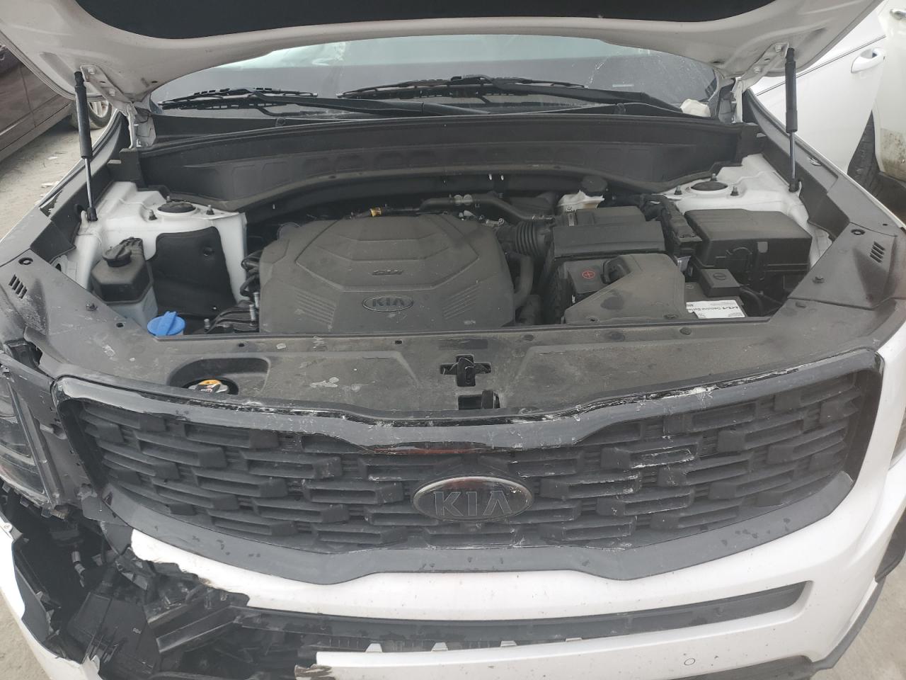 2021 Kia Telluride Sx VIN: 5XYP5DHC1MG125563 Lot: 61372995