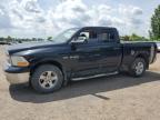 2010 DODGE RAM 1500    for sale at Copart ON - LONDON