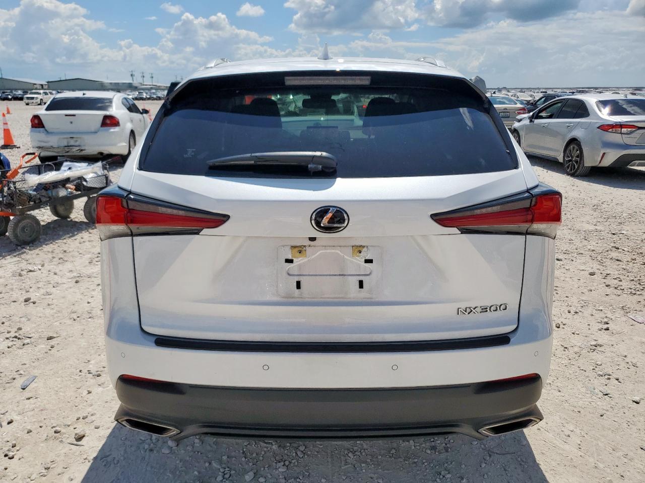 2020 Lexus Nx 300 VIN: JTJDARBZXL5001577 Lot: 60758165
