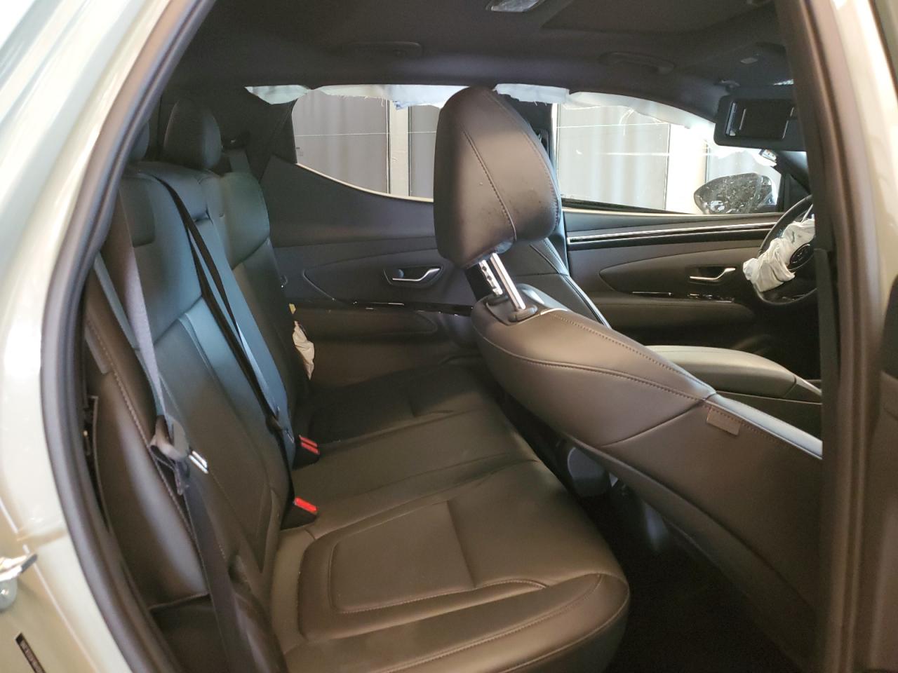 2024 Hyundai Santa Cruz Limited VIN: 5NTJEDDF9RH120456 Lot: 62170035
