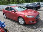 2016 Ford Fusion Se Phev   продається в Riverview, FL - Normal Wear