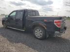 2012 Ford F150 Supercrew   للبيع في Ottawa، ON - Minor Dent/Scratches