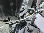 2025 SUZUKI GSX800 F   for sale at Copart NC - CONCORD