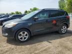 2014 FORD ESCAPE SE   for sale at Copart ON - LONDON