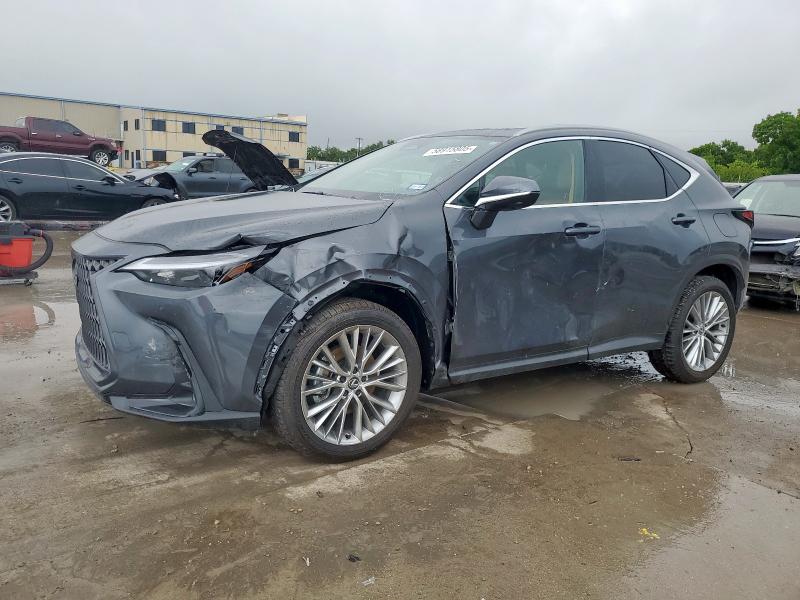 LEXUS NX 350 PRE 2025