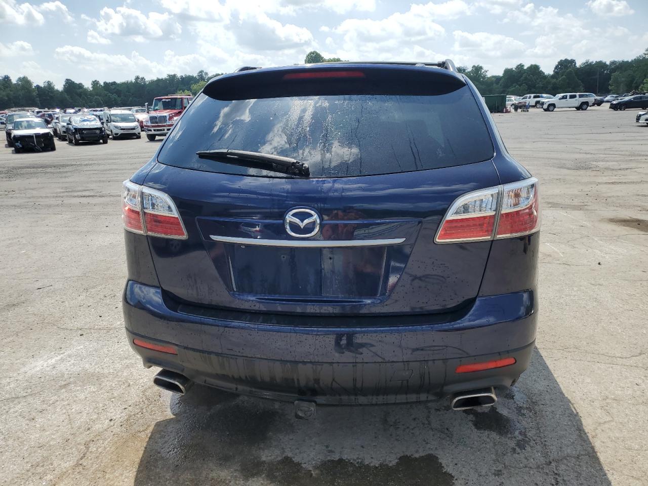 2010 Mazda Cx-9 VIN: JM3TB3MV1A0223039 Lot: 62138735