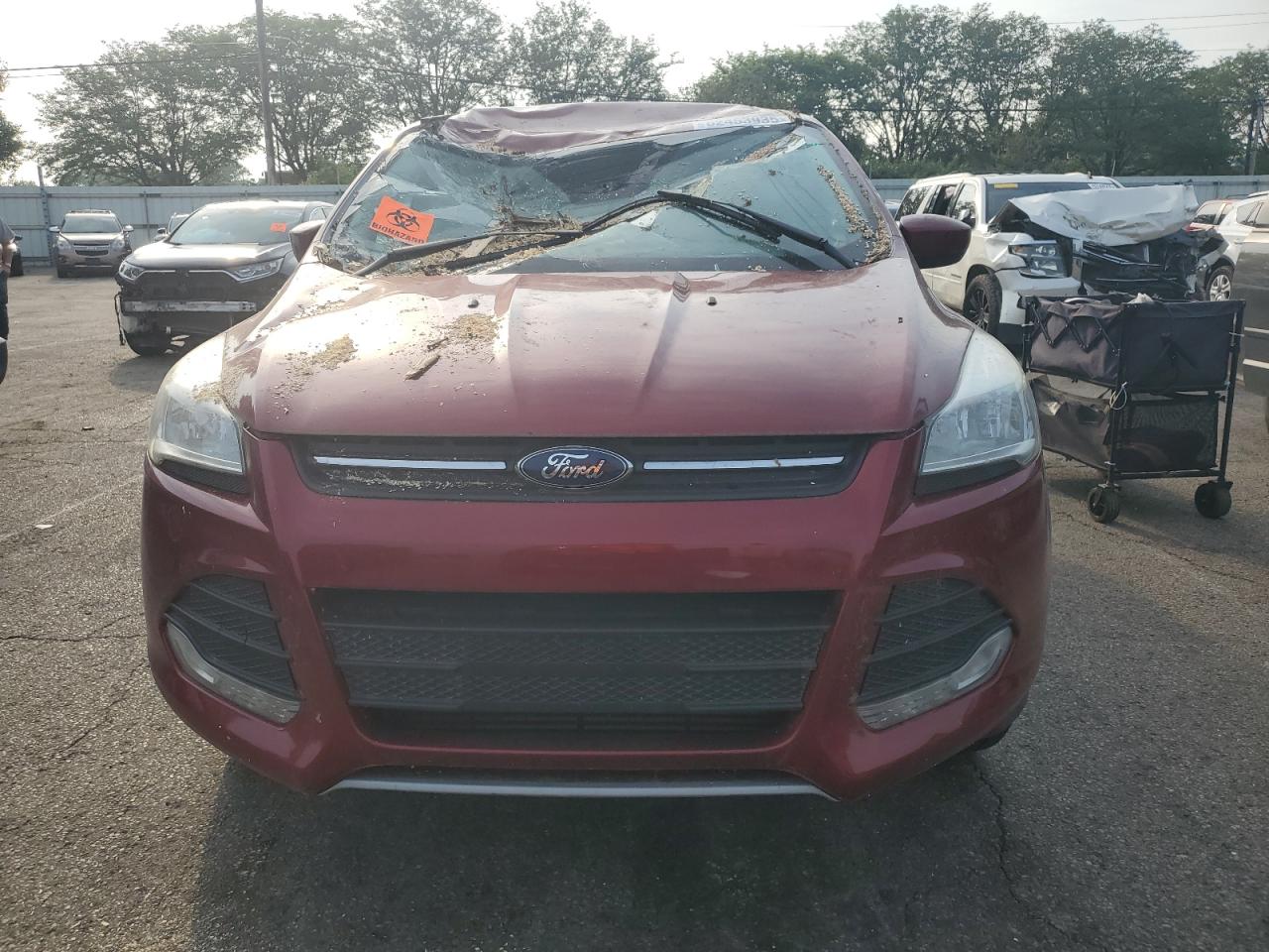 FORD ESCAPE 2016 VIN 1FMCU9G94GUC54299 photo 5