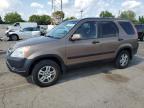 2003 Honda Cr-V Ex للبيع في Dyer، IN - Minor Dent/Scratches