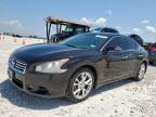 2013 Nissan Maxima S იყიდება Taylor-ში, TX - Hail
