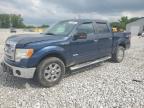2013 Ford F150 Supercrew на продаже в Barberton, OH - Front End