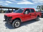 Riverview, FL에서 판매 중인 2009 Ford F150 Supercrew - Front End