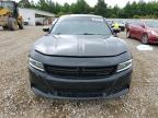 2018 Dodge Charger Sxt Plus for Sale in Memphis, TN - Hail