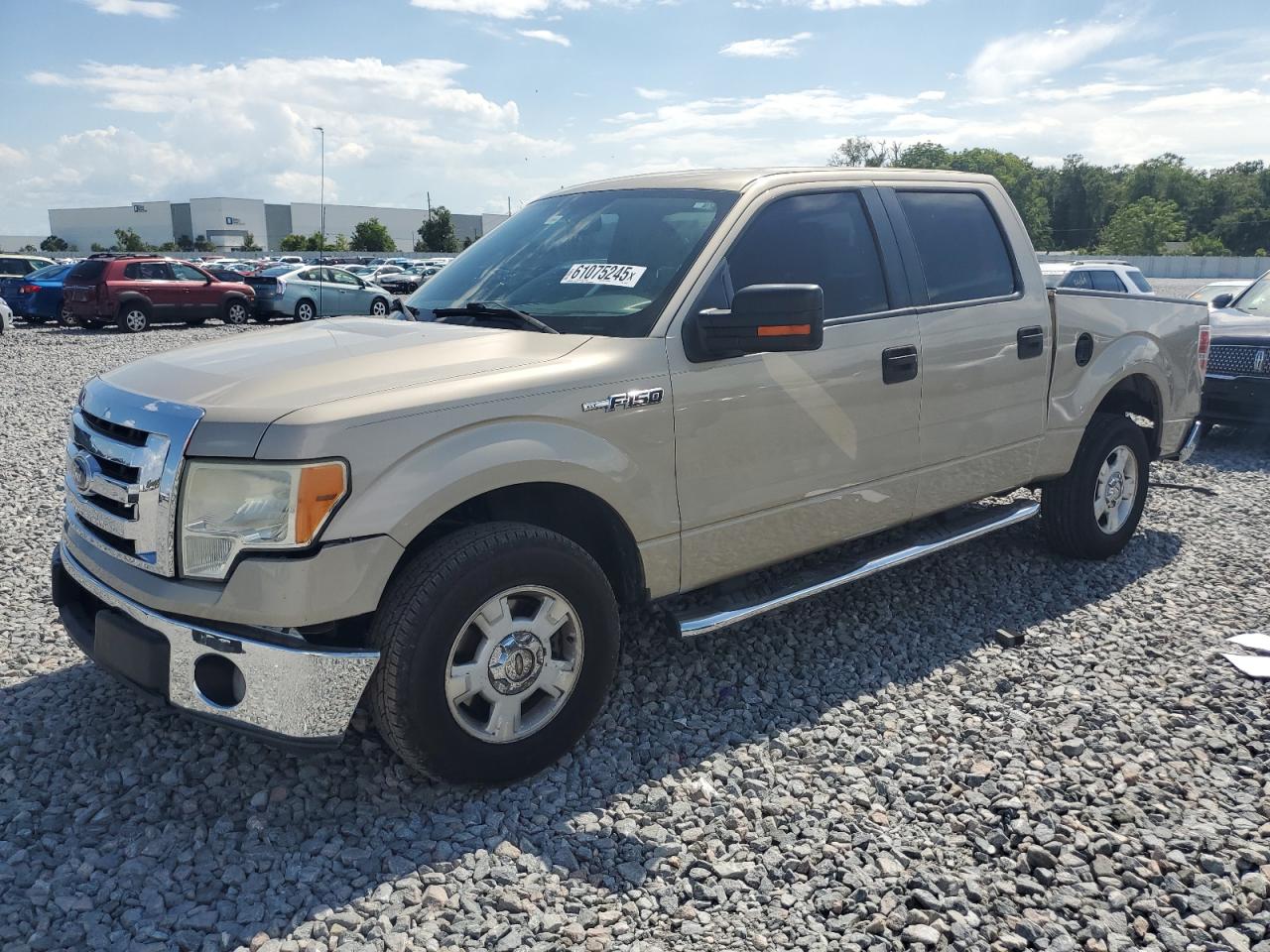 2010 Ford F150 Supercrew на продаже в Apopka, FL - Rear End
