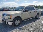 2010 Ford F150 Supercrew на продаже в Apopka, FL - Rear End