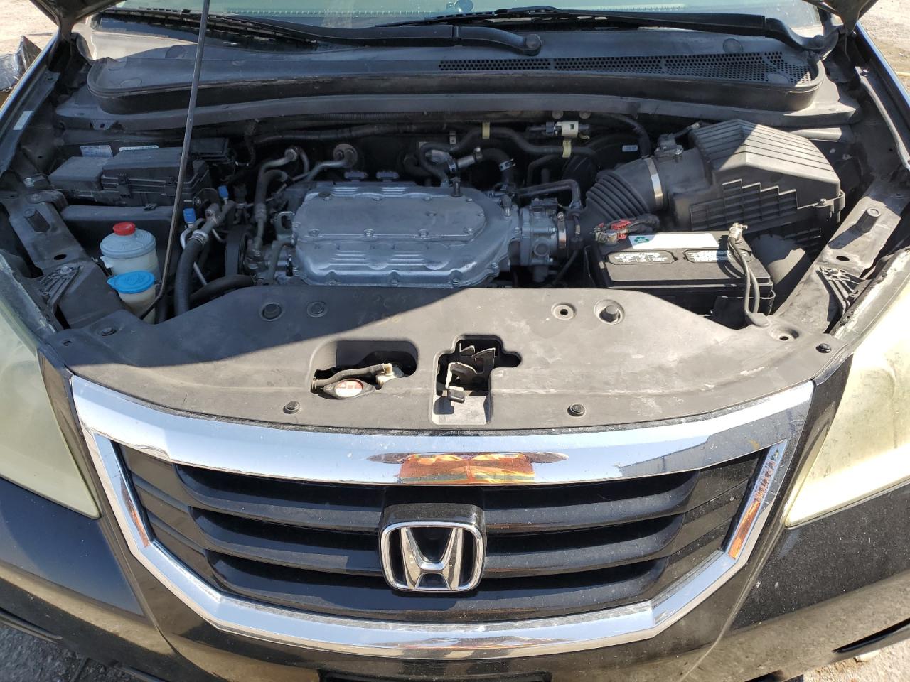 2010 Honda Odyssey Exl VIN: 5FNRL3H66AB068069 Lot: 62964205