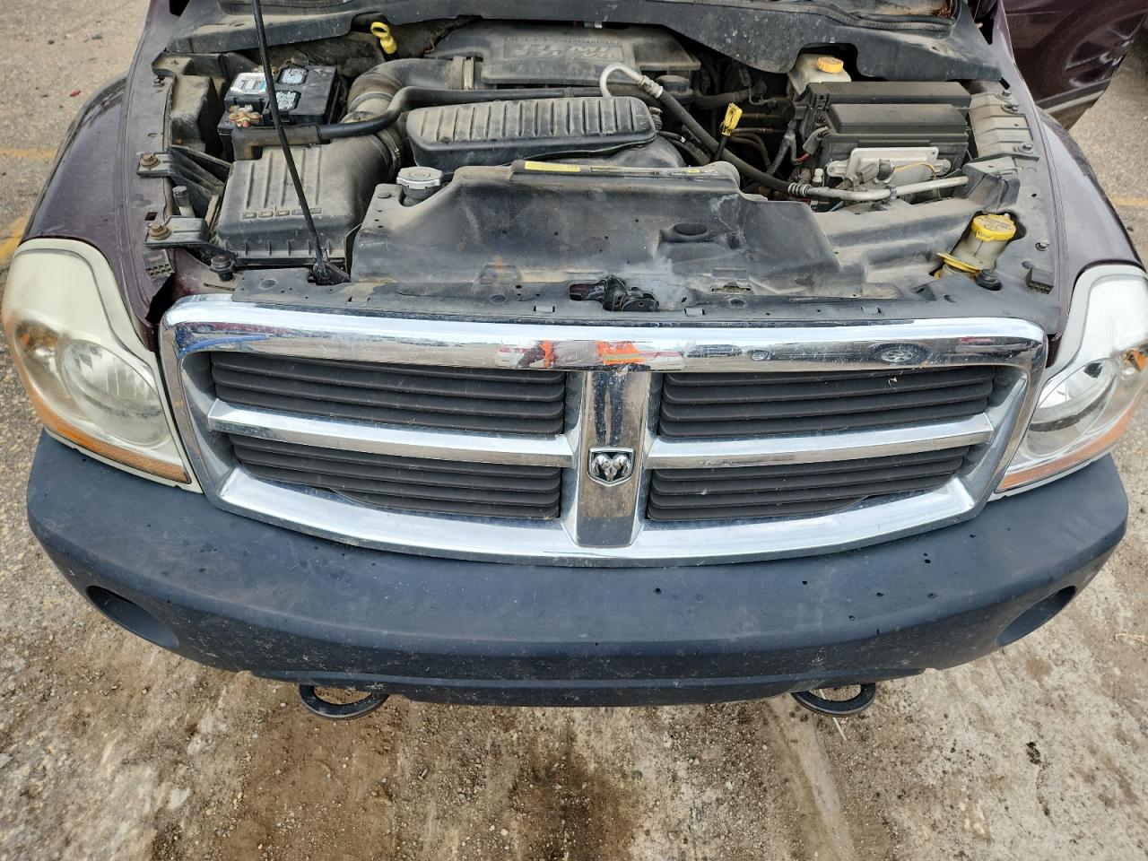 2005 Dodge Durango Limited VIN: 1D8HB58D15F506962 Lot: 62475635