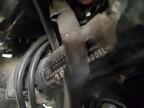 1982 HONDA GL1100 I   for sale at Copart CA - SO SACRAMENTO
