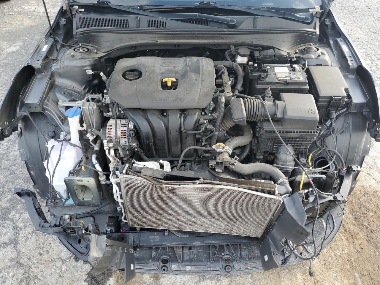 2021 Kia Forte Fe VIN: 3KPF24AD2ME341636 Lot: 61664285