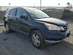 2011 Honda Cr-V Exl   იყიდება San Diego-ში, CA - Rear End