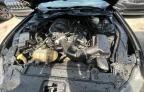 2017 Ford Mustang    for Sale in Apopka, FL - Damage History