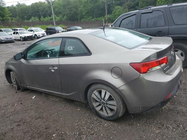 Coupet KIA FORTE 2013 Gray