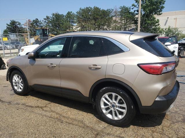  FORD ESCAPE 2020 Złoty